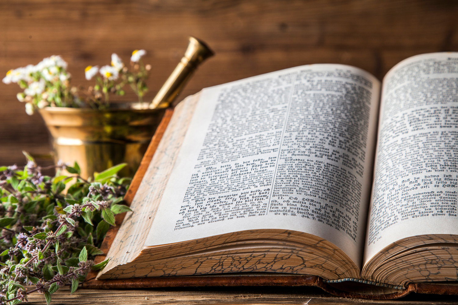 Ancient natural medicine, herbs and old herbal medicine book.