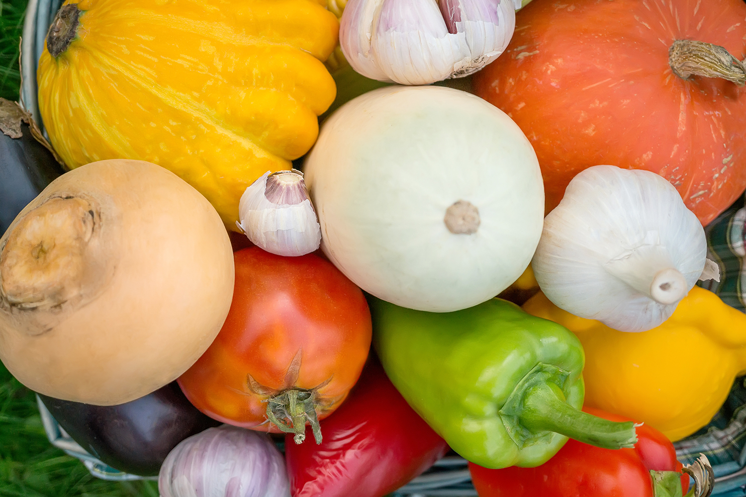 a late summer harvest of produce