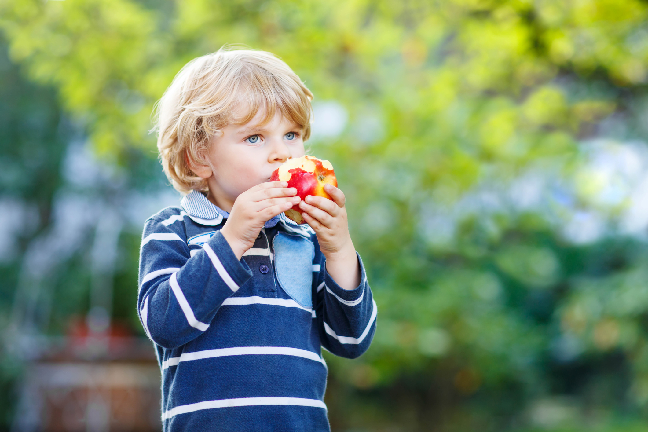 Child outside eating a red apple. 