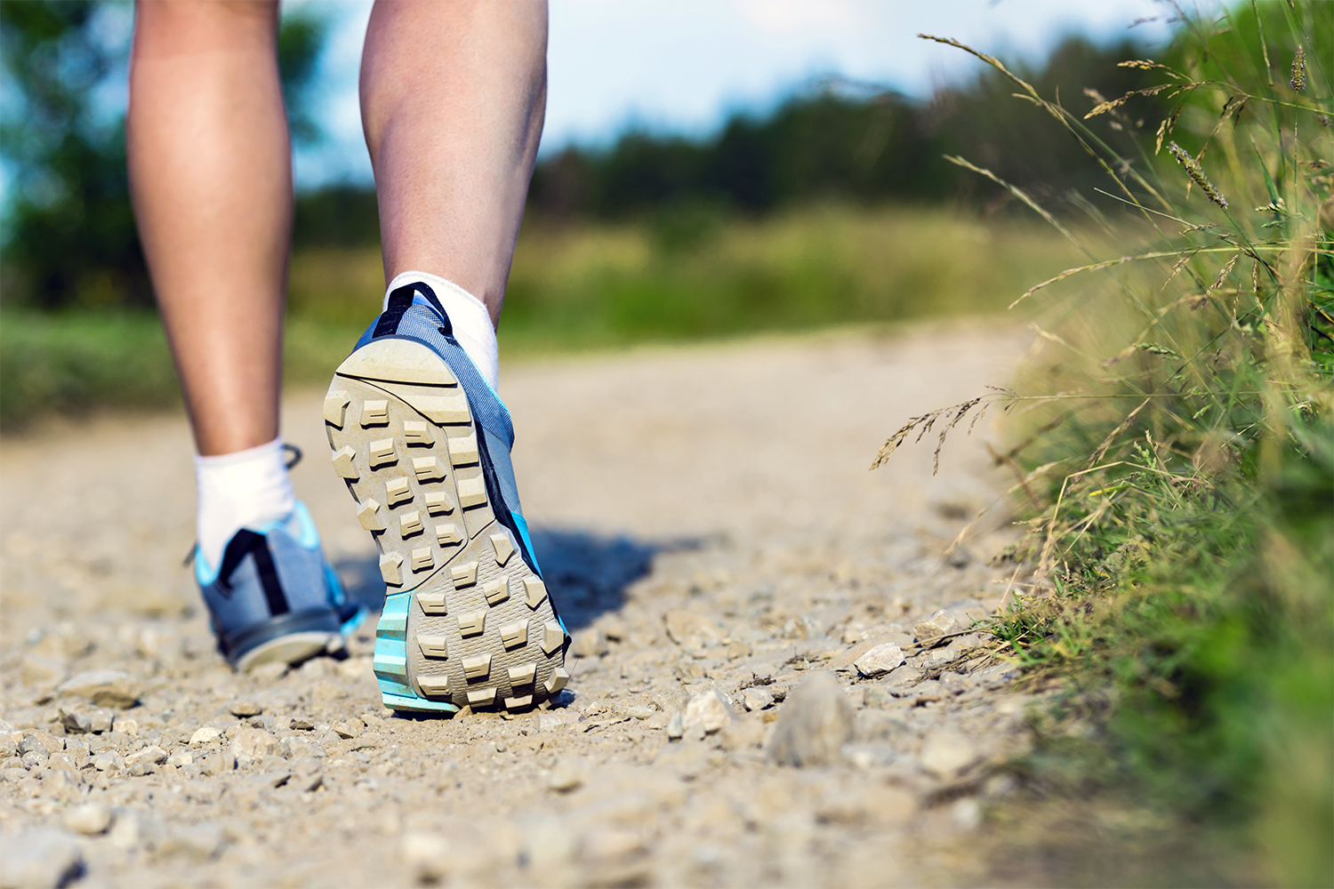 a man walking down a path near the forest