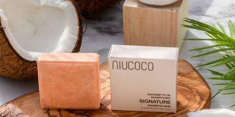 a shampoo bar surrounded by coconuts