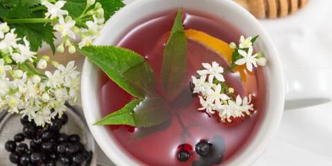 A cup of elderberry tea, with a lemon slice and honey