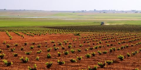 Can organic Farming feed the world?