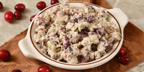 fresh turkey salad spread with cranberries