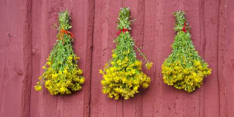 St. John's Wort