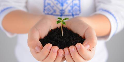 A little girl holding soil with a plant sprouting