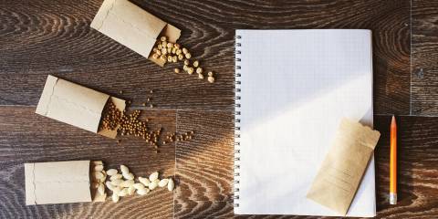 Brown paper seed packets overflowing with seeds. Set on a rustic wooden table with a notebook and pencil. Top view.