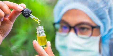 a scientist measuring oil in a greenhouse full of cannabis or hemp