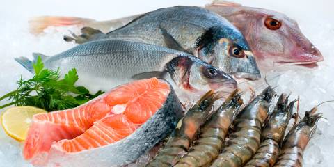 fresh fish and shrimp on a bed of ice